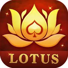teen patti live 3 apk download download